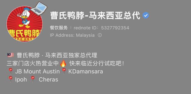 专业号项目小红书案例作品 2